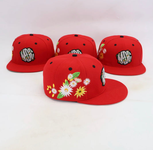 MDC baseball cap